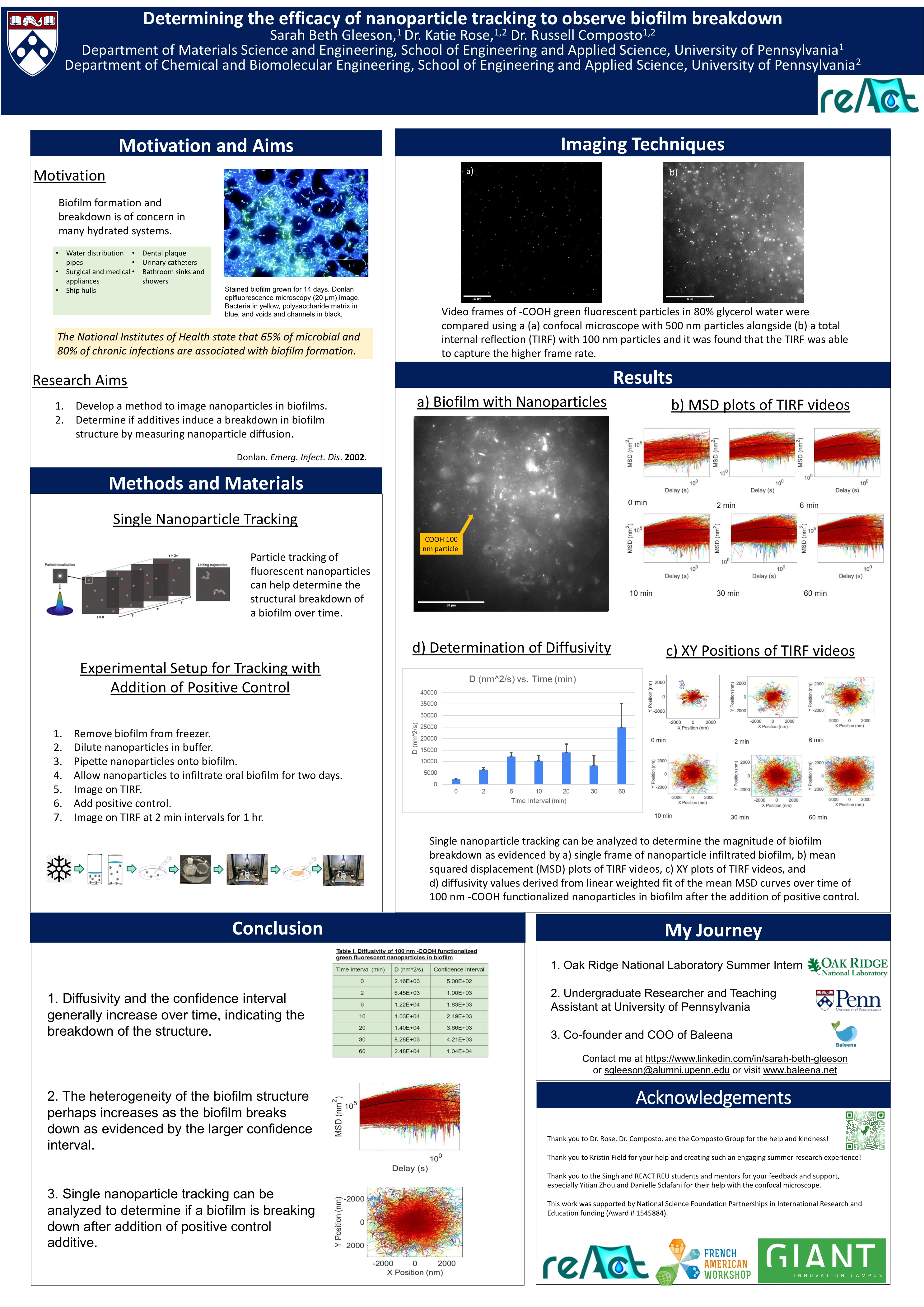 Sarah Beth's third-place research poster from the reAct program in Grenoble, France, on biofilms and reversible wound dressings.